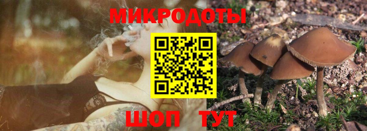 Псилоцибиновые грибы Cubensis Советская Гавань